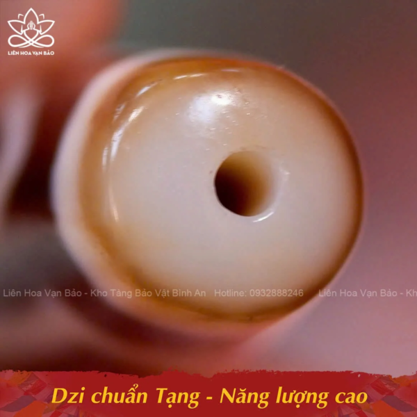 Dzi thiên địa-Đức Phật Di Lặc - Hình ảnh 2