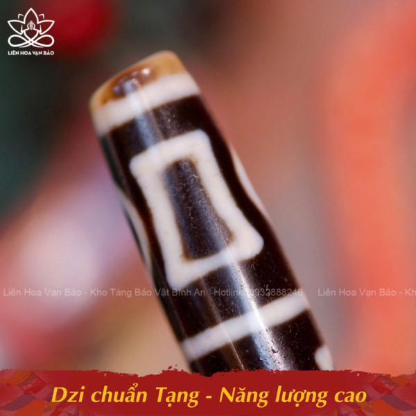 Dzi thiên địa-Đức Phật Di Lặc - Hình ảnh 3