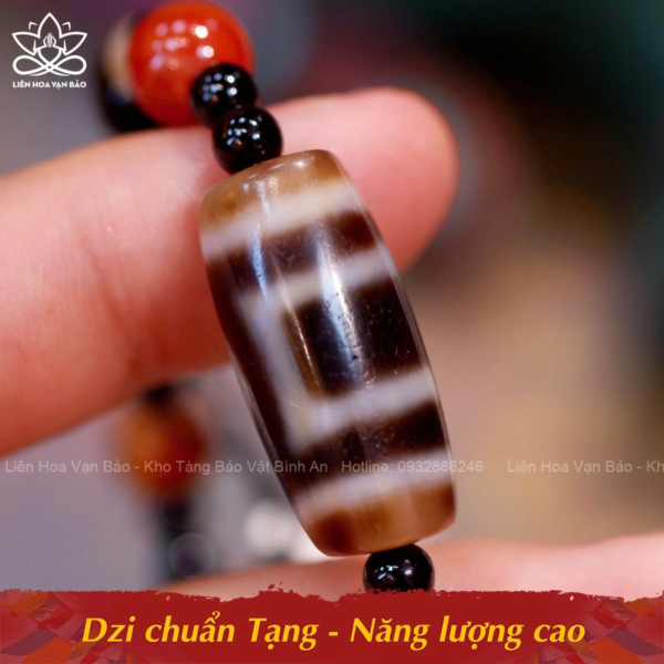 Dzi thiên địa-Đức Phật Di Lặc - Hình ảnh 7