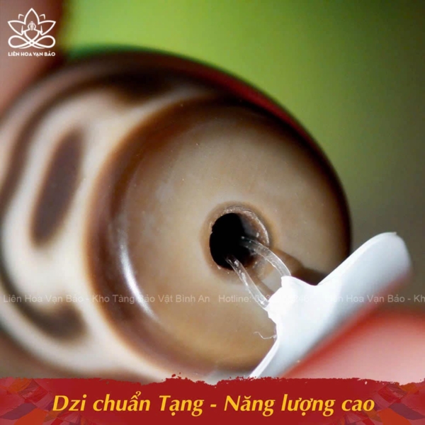 Dzi Bảo Bình Hoa Sen chuẩn Tạng