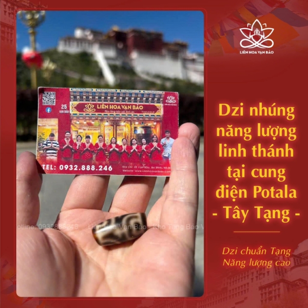 Dzi Tây Tạng