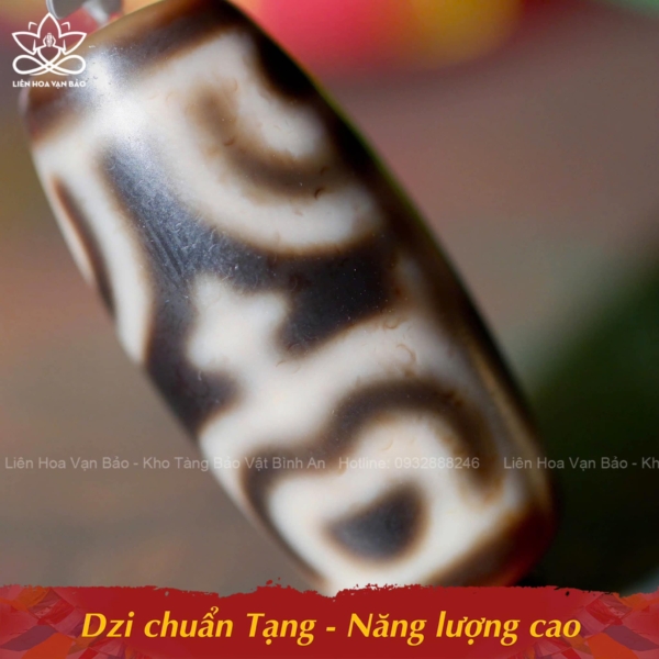 Dzi Bảo Bình Hoa Sen chuẩn Tạng