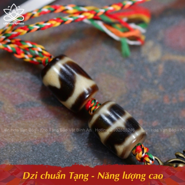 Dzi nanh cọp